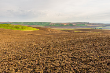 Amazing green hills. Plowed fields, an incredible drawing of the earth.  Kamiak Butte State Park Campground,  Whitman County, Washington, USA  