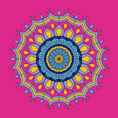 fuchsia background with colorful ornamental flower mandala vintage decorative vector illustration