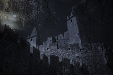 Medieval castle in full moon night