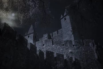 Papier Peint photo Château Medieval castle in full moon night