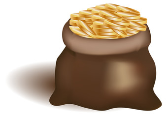 Standing open a leather bag filled with gold coins, money. Symbols of wealth, earnings, success, prosperity