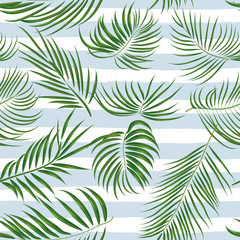 Naklejka na ściany i meble Seamless hand drawn tropical pattern with palm leaves, jungle exotic leaf on white background