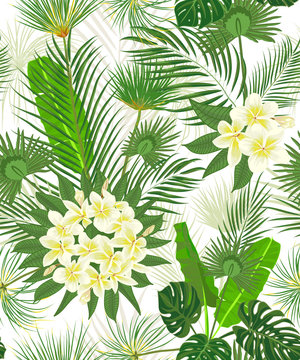 Seamless hand drawn tropical pattern with palm leaves, jungle exotic leaf on white background