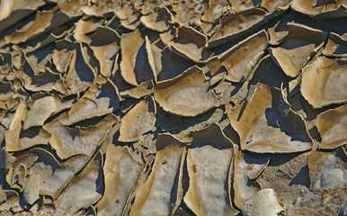 Arid ground in death valley. Hottest, Driest, and Lowest National Park. In this below-sea-level basin, steady drought and record summer heat make Death Valley a land of extremes. 