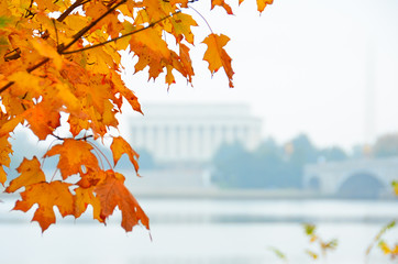 Lincoln Memorial in autumn - Washington DC, United States of America (USA)