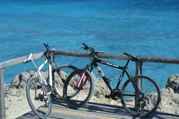 Fototapeta premium bicycles in front of sea
