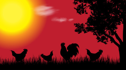 Vector silhouette of rooster and hen in nature at sunset.