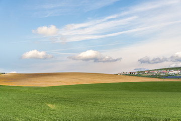 Wavy meadows spring landscape