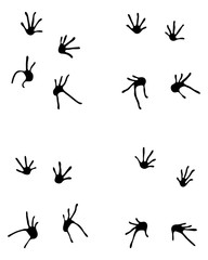 Black footprints of lizard on a white background
