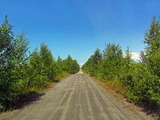 Fototapeta na wymiar Old forest road