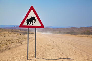 Elephant Crossing, Namibia