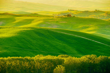 Waves hills, rolling hills, minimalistic landscape