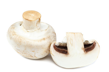 Fototapeta premium Fresh mushrooms champignons on white background.