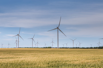 Coastal wind farm in the middle of a wheat field, Botievo, Ukraine