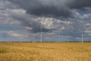 Coastal wind farm in the middle of a wheat field, Botievo, Ukraine