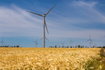 Coastal wind farm in the middle of a wheat field, Botievo, Ukraine