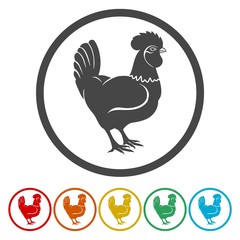 Rooster icons set - vector Illustration 