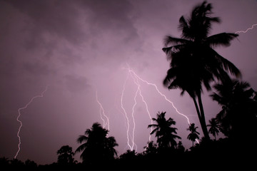 Thunder, lightning storm in the raining night background over a house and palm tree. In Mumbai