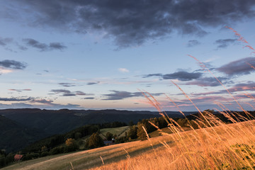 Sonnenuntergang im Schwarzwald