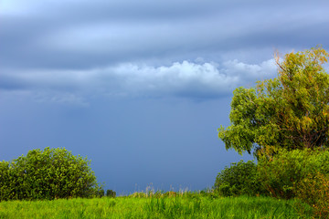 Landscape with storm clouds over a green meadow