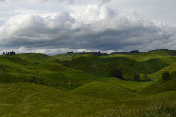 Fototapeta na wymiar valley in New Zealand