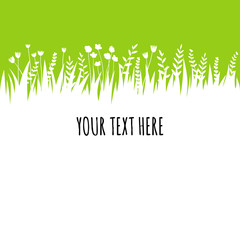 Summer green grass background for text. Vector eco, nature design banner, template