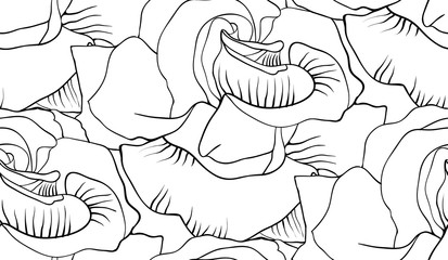 black and white roses vector pattern