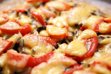 Meat dish with cheese and vegetables from the oven