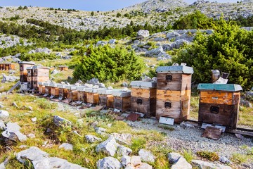 Mountain apiary in Croatian mountains