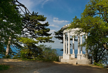 Silver arbor near Yalta, Crimea