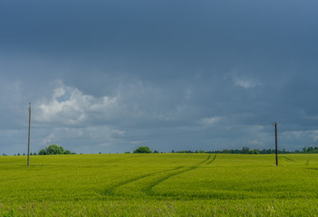Fototapeta na wymiar Landscape photo of cloudy blue sky and green meadow