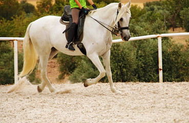 Riding with white horse
