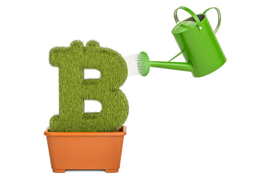 Watering can water grassy bitcoin symbol. Money plant concept, 3D rendering