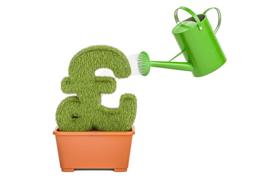 Watering can water grassy pound sterling symbol. Money plant concept, 3D rendering