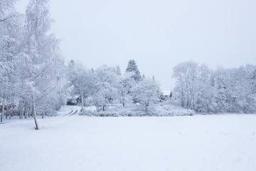Snowy landscape countryside