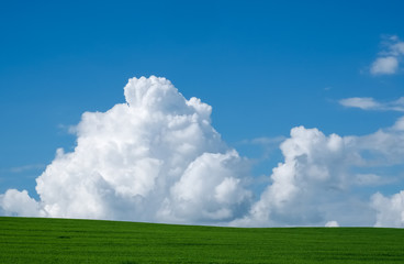 Summer landscape with a green field and a cloud on a blue sky