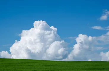 Papier Peint photo Été Summer landscape with a green field and a cloud on a blue sky