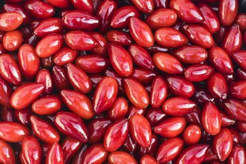 Photo of a red dogwood berry pattern for background