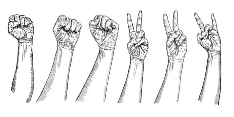 Naklejka premium Set of girl and man V sign hand and freedom fist symbol. Set of victory hand gestures. Drawn style pen and ink illustrations of female and male revolution signs wrists. Vector.