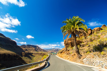 Empty road through the Gran Canaria island, in Spain