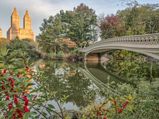 Bow bridge Central Park autumn