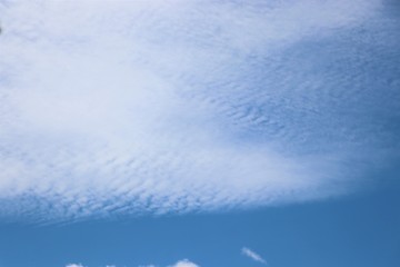 Fototapeta premium Blue sky with cloud background 