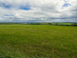  summer countryside morning,Northern Ireland
