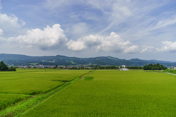 Fototapeta na wymiar 夏の六日町の風景