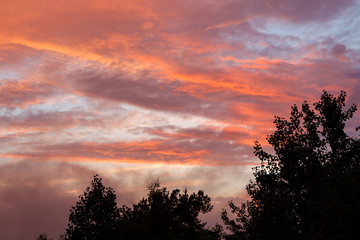 Fototapeta na wymiar Treetop silhouettes and vibrant sunset clouds