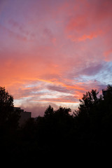 Treetop silhouettes and vibrant sunset clouds