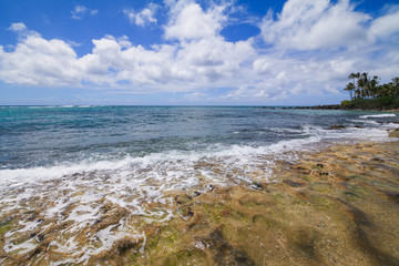 beautiful beach on Oahu North Shore Hawaii (Turtle beach)