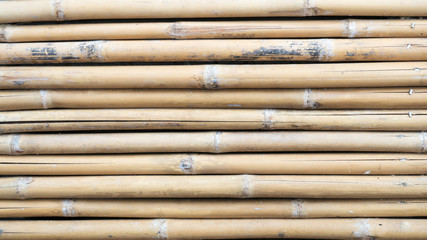 bamboo background