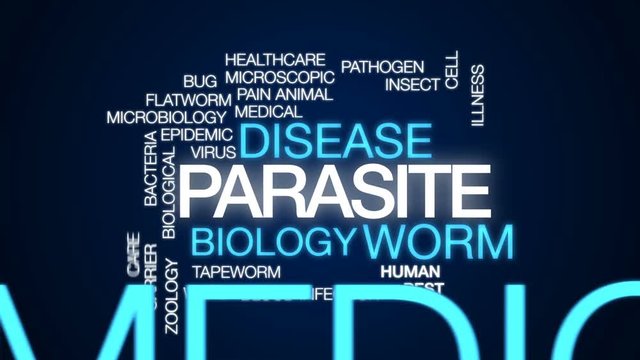 Parasite animated word cloud, text design animation.