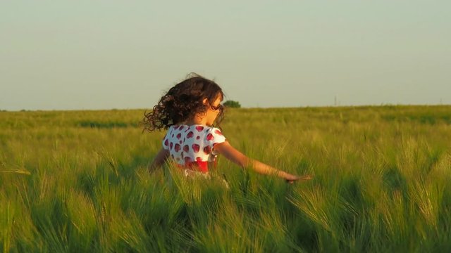 A happy little girl is spinning in a wheat field. A child is playing in a wheat field.